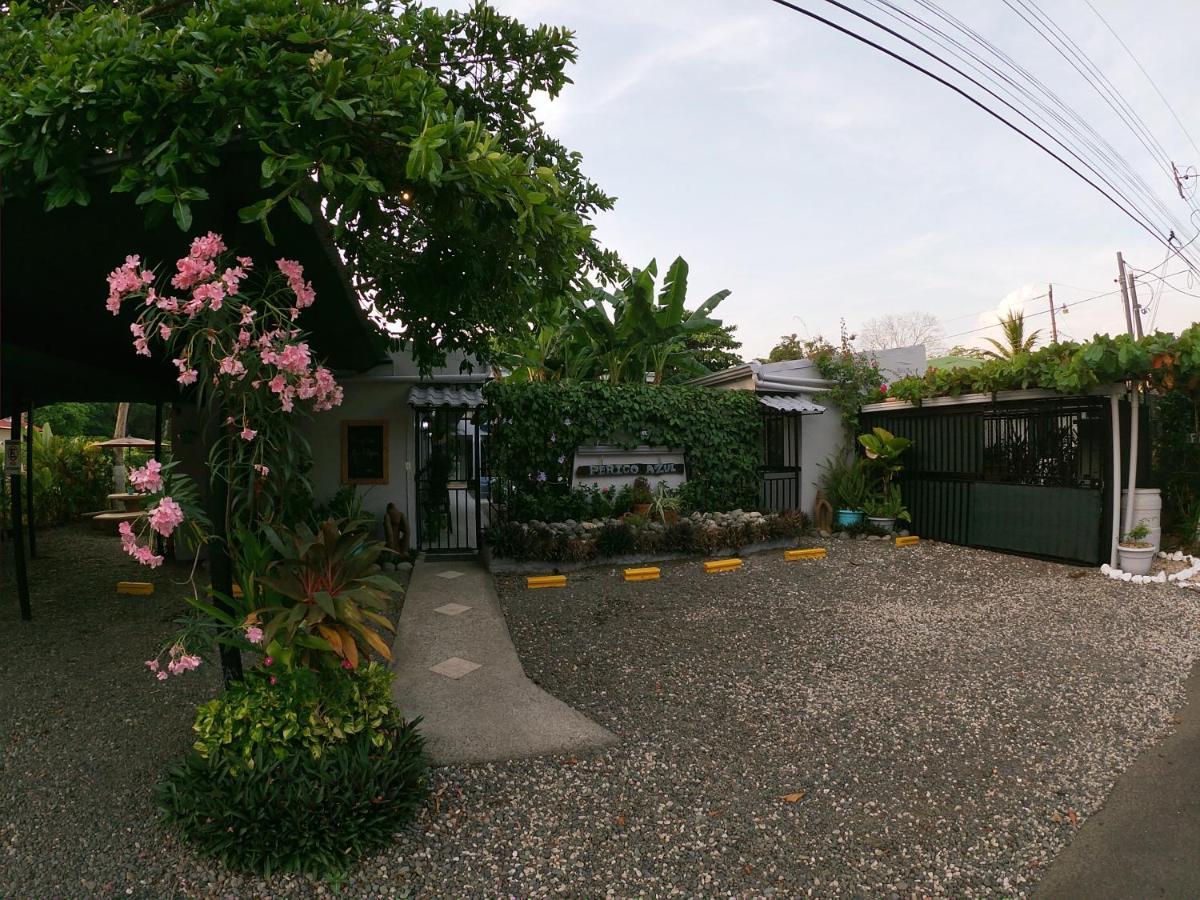 Hotel Perico Azul & Surf Camp Jaco Bagian luar foto